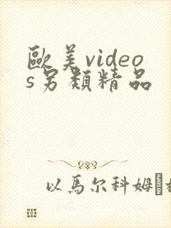 欧美videos另类精品