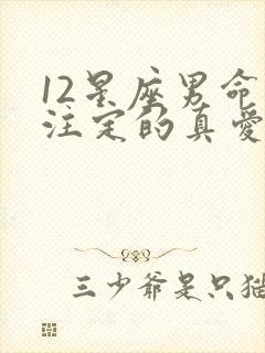 12星座男命中注定的真爱封面