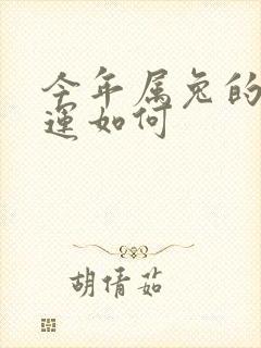 今年属兔的人财运如何封面