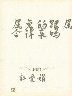 属兔的跟属龙的合得来吗封面