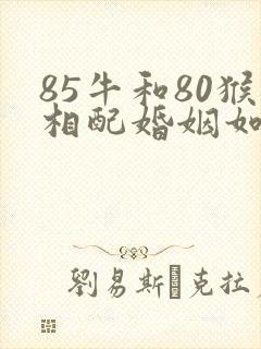 85牛和80猴相配婚姻如何