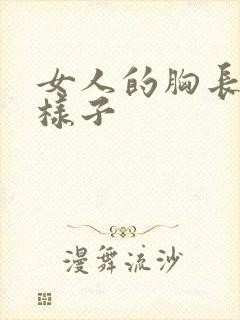 女人的胸长什么样子