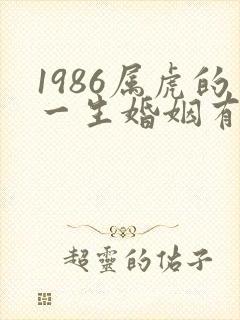 1986属虎的一生婚姻有几次