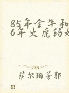 85年金牛和86年火虎的婚姻状况