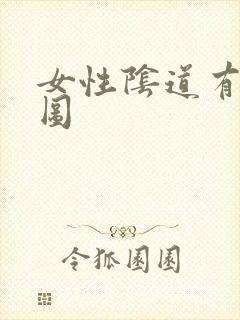 女性阴道有肉刺图封面