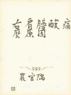 右肩膀酸痛是什么原因