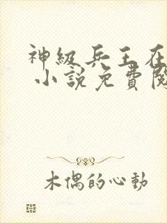 神级兵王在都市 小说免费阅读全文