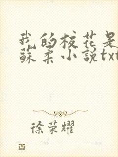 我的校花是福姬苏柔小说txt封面