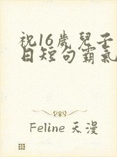 祝16岁儿子生日短句霸气