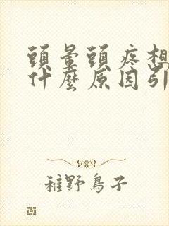 头晕头疼想吐是什么原因引起的 女性