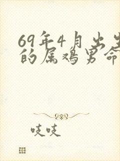 69年4月出生的属鸡男命运
