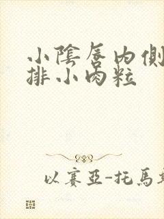 小阴唇内侧长一排小肉粒