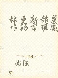 林更新赵丽颖合作的电视剧有哪些封面