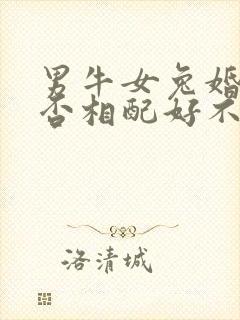 男牛女兔婚姻是否相配好不好