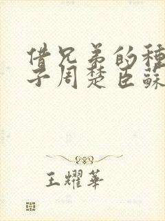 借兄弟的种生孩子周楚臣苏糖封面