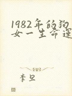 1982年的狗女一生命运封面