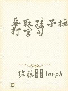 争取孩子抚养权打官司