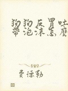 狗狗反胃吐黄水带泡沫怎么办