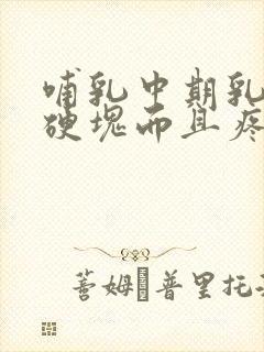 哺乳中期乳房有硬块而且疼怎么办