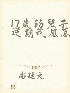 17岁的儿子叛逆期我应怎么办封面