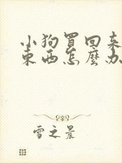 小狗买回来不吃东西怎么办