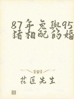 87年兔与95猪相配的婚姻如何