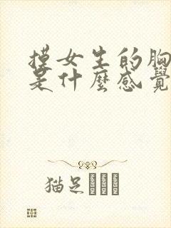 摸女生的胸女生是什么感觉