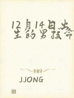 12月14日出生的男孩命运封面
