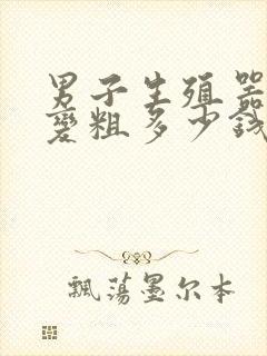 男子生殖器延长变粗多少钱