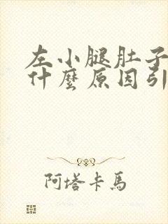 左小腿肚子疼是什么原因引起的