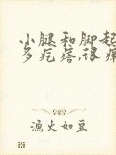 小腿和脚起了好多疙瘩,很痒