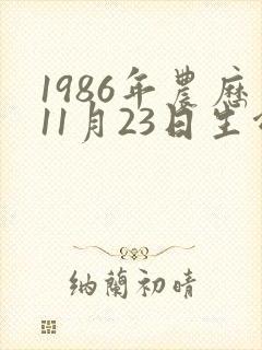 1986年农历11月23日生命运