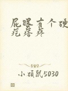 屁眼有个硬硬的疙瘩疼