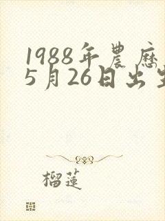 1988年农历5月26日出生人的命运