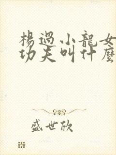 杨过小龙女练的功夫叫什么封面