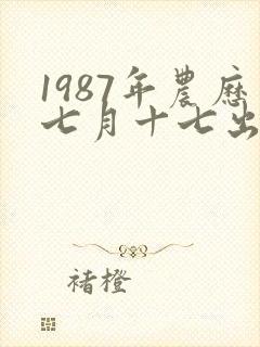 1987年农历七月十七出生的人命运