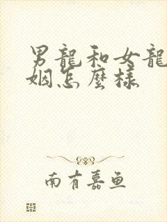 男龙和女龙的婚姻怎么样