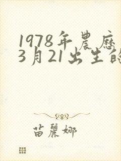 1978年农历3月21出生的命运