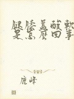 腿膝盖酸软无力是怎么回事封面