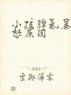 小孩脾气暴躁易怒原因