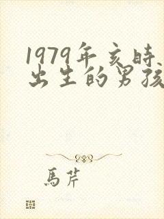 1979年亥时出生的男孩命运