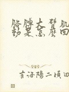 胳膊大臂肌肉跳动是怎么回事