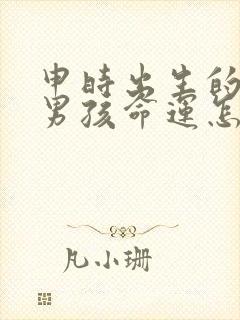 申时出生的属鸡男孩命运怎么样