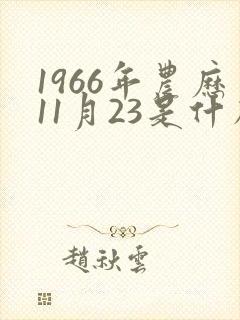 1966年农历11月23是什么命