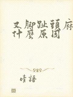 又脚趾头麻木是什么原因