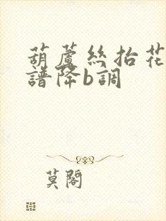 葫芦丝抬花轿曲谱降b调