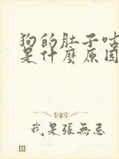 狗的肚子咕咕叫是什么原因