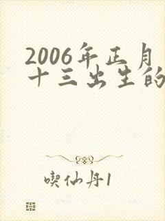 2006年正月十三出生的男孩命运怎样