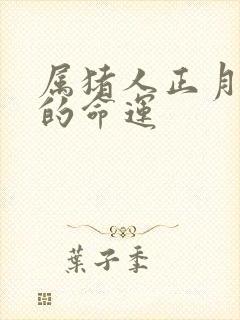 属猪人正月出生的命运