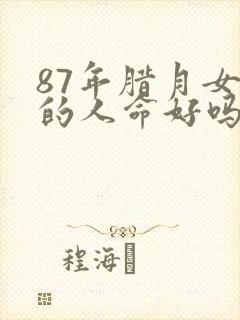87年腊月女兔的人命好吗